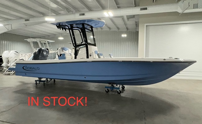 2025 Robalo 246 Cayman Steel Blue 